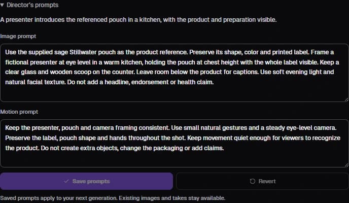 Actual Director prompt editor with a prepared Stillwater image prompt and motion prompt